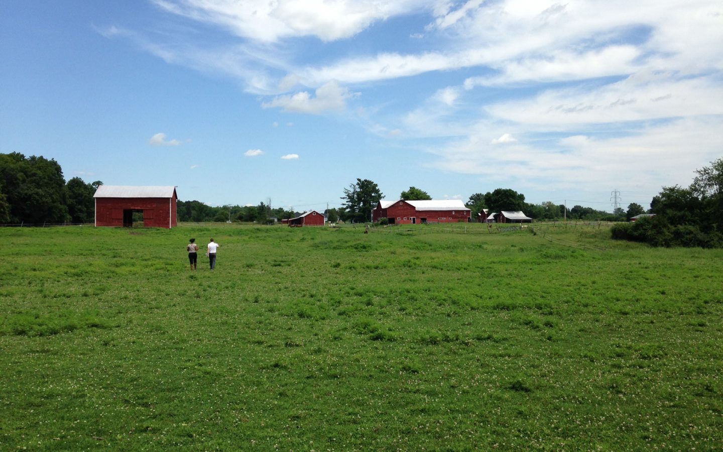 01dad934a0a579216dd72cebc7e71ee970d5c7733f