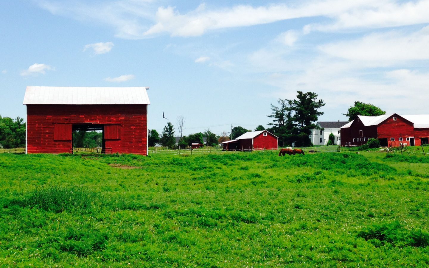 01ec459e59b30fbd787530d002167cd009cd75e514