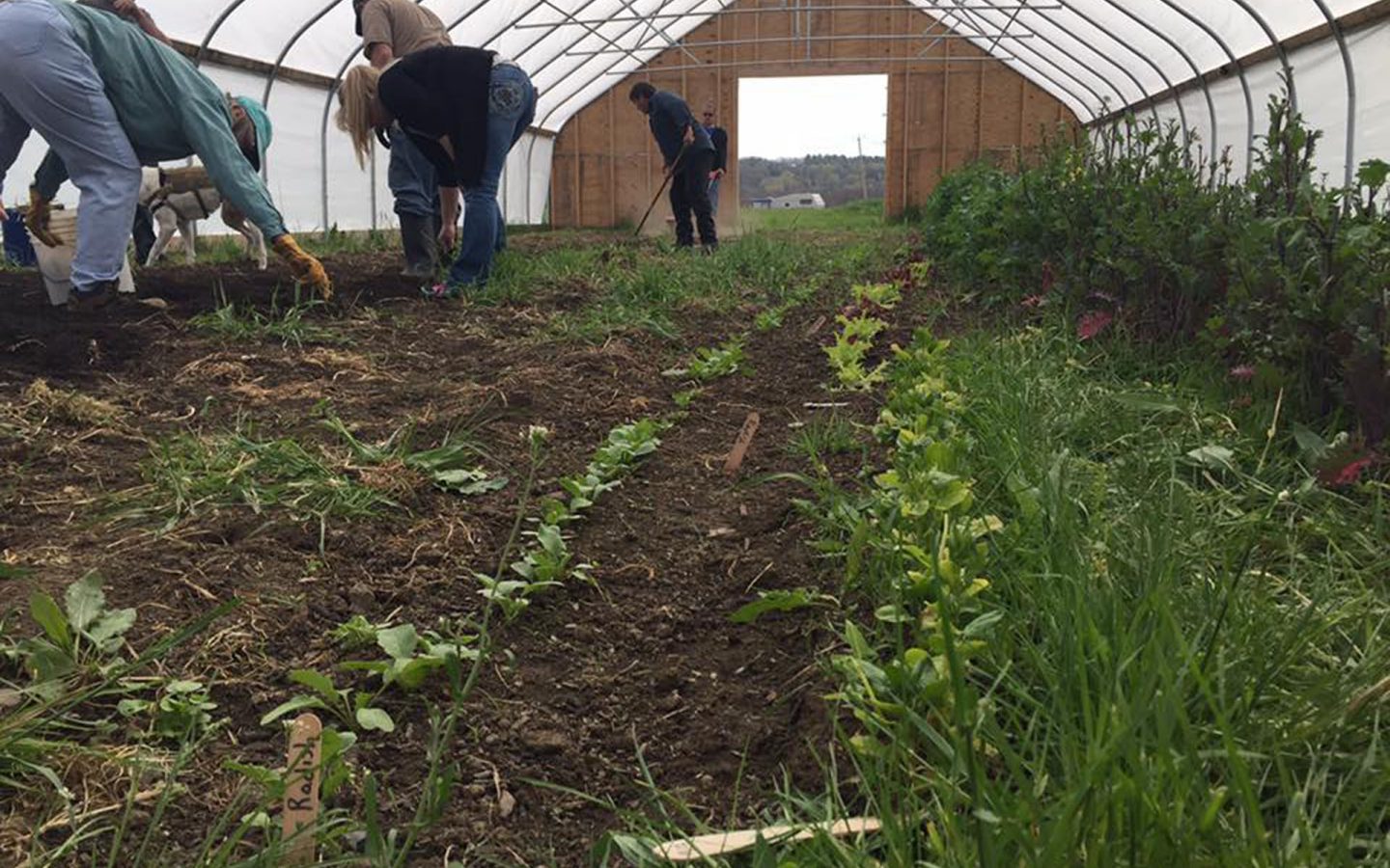 13118938_1153371411351218_7383559645015699426_n