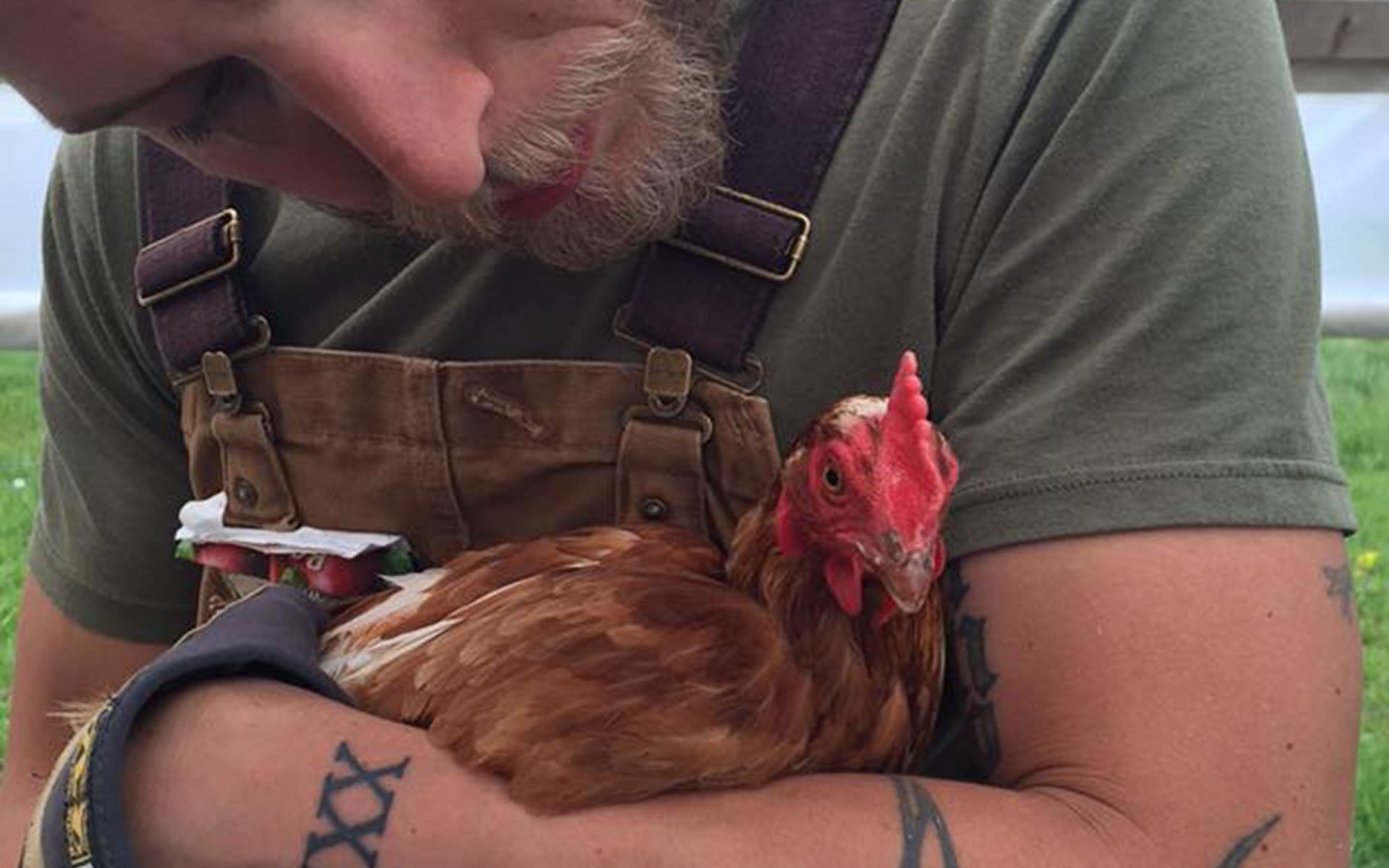 13124660_1153627714658921_4614184827632750316_n