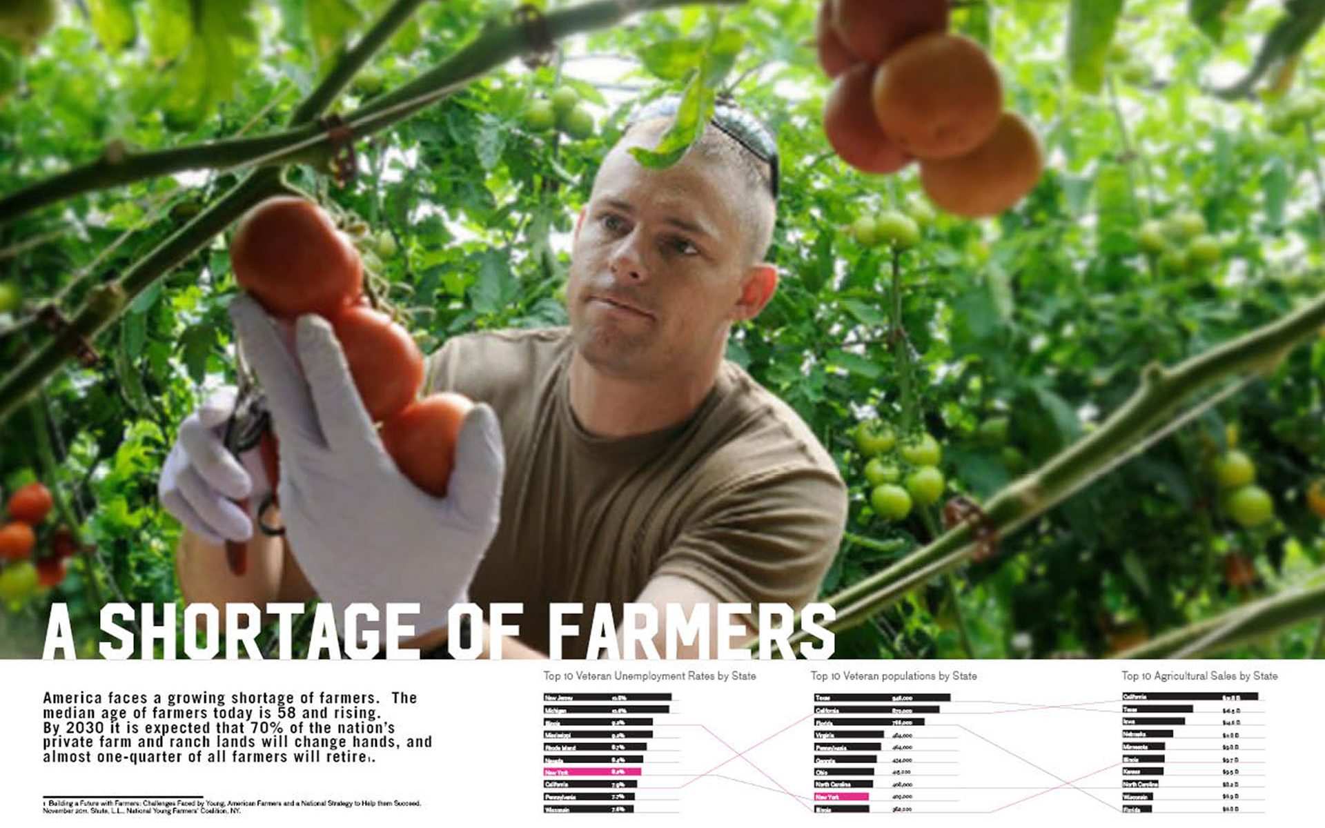 Heroic-Food-Pitch-Book4