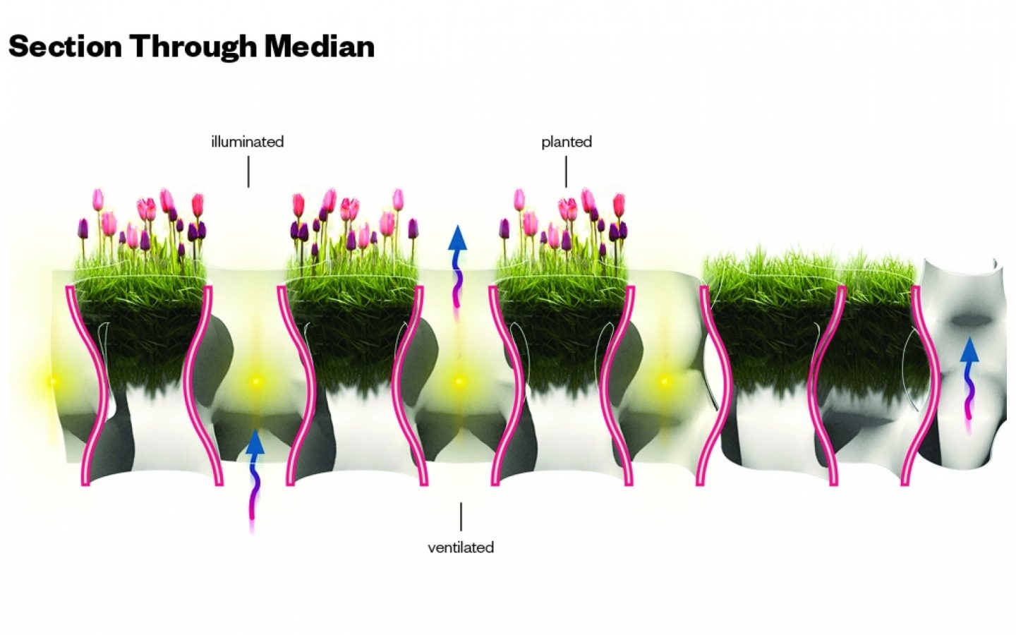 module-cropped-planting2